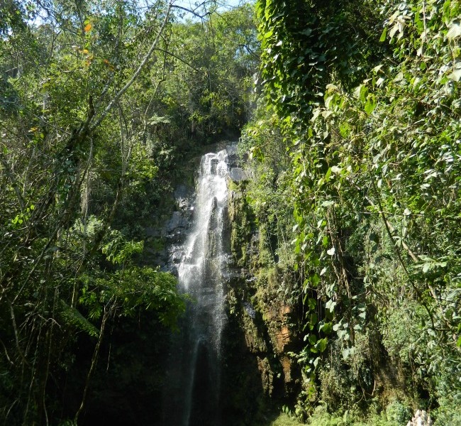 cachoeira-rio-acima-sao-bartolomeu